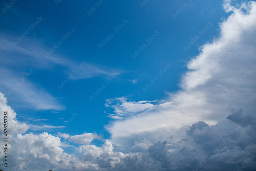 Obraz premium 青空
