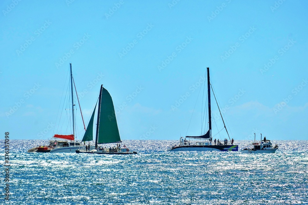 Fototapeta premium sailboat on the sea