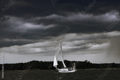 sailing through the storm