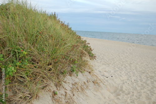 sand dunes on the beach © Jessica Kirk 