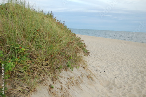 sand dunes on the beach