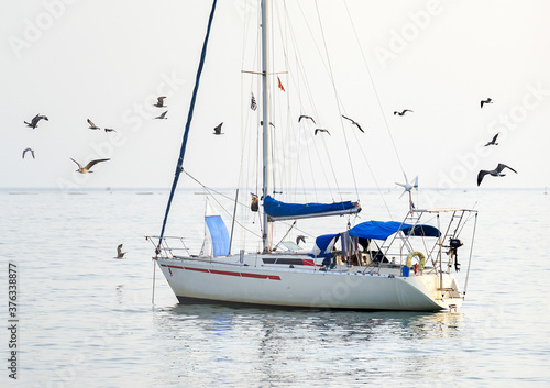 sailing boat in the midde of the sea surrounded by a group of flying seagulls