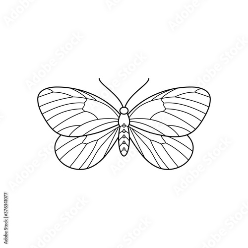 Butterfly icon in a Linear Minimalist trendy style. Vector outline Emblem of Insect Moths for creating logos of beauty salons, manicures, massages, spas, jewelry, tattoos, and handmade artists.