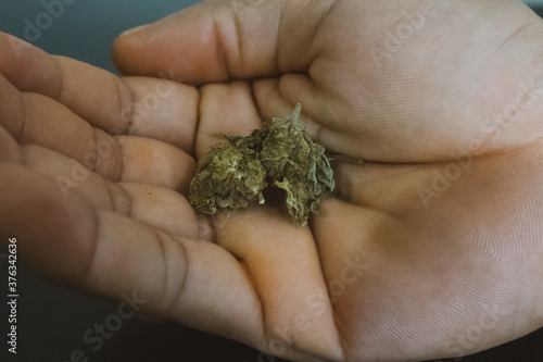 Man's right hand holding a green bud of marijuana