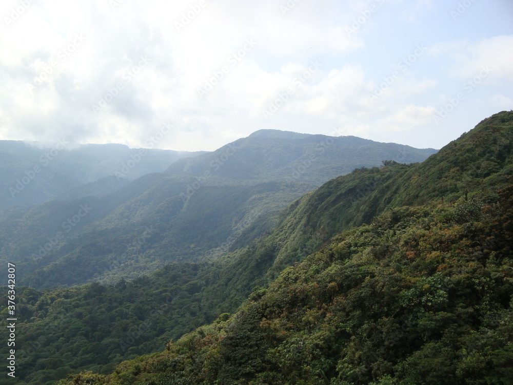 rainforest mountains costa rica jungle