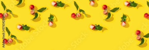 Banner with pattern from small red apples and green leaves with dark shadows. photo
