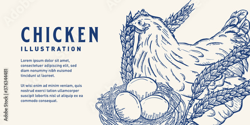 Vintage Chicken Illustration
