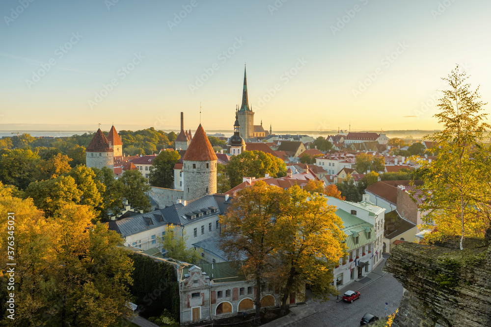 Tallinn city wall and St. Olaf's Church top view