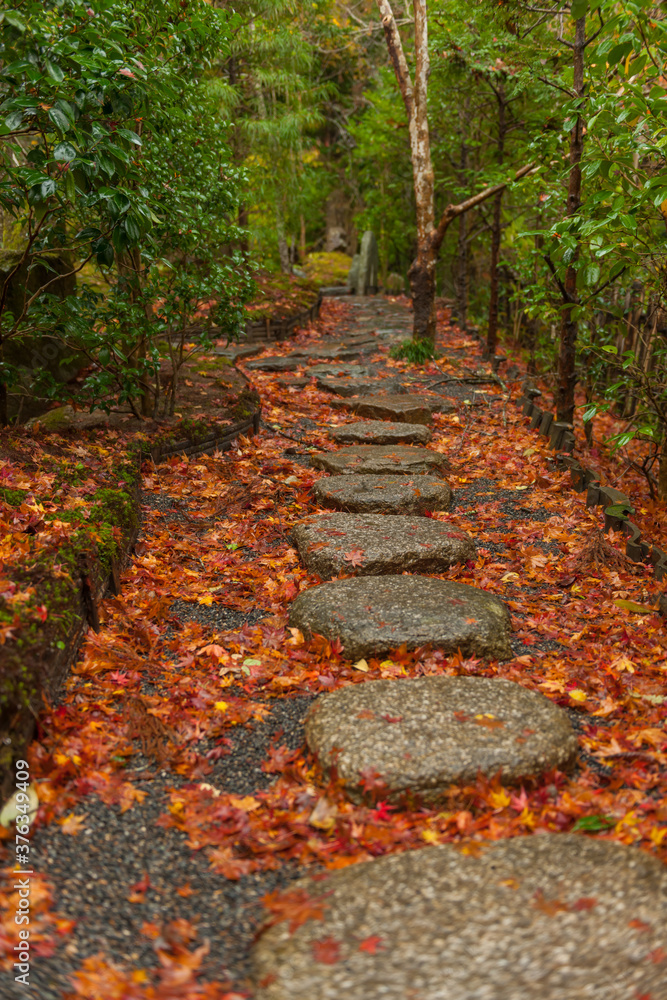 Autumn leaves in Kyoto