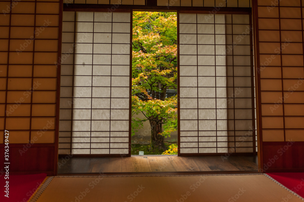Autumn leaves in Kyoto Autumn leaves in Kyoto