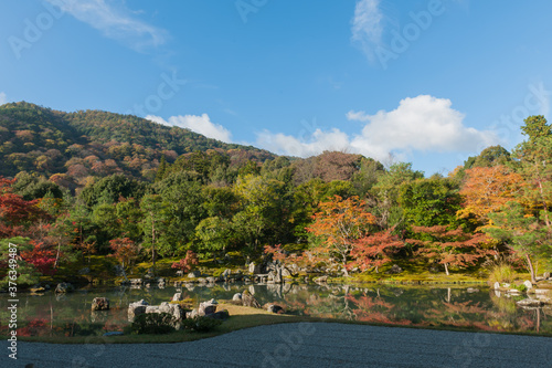 Wallpaper Mural Autumn leaves in Kyoto Torontodigital.ca