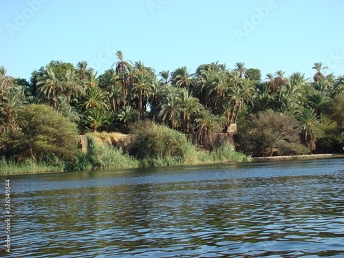 Egypt, Nile River, palm trees and views