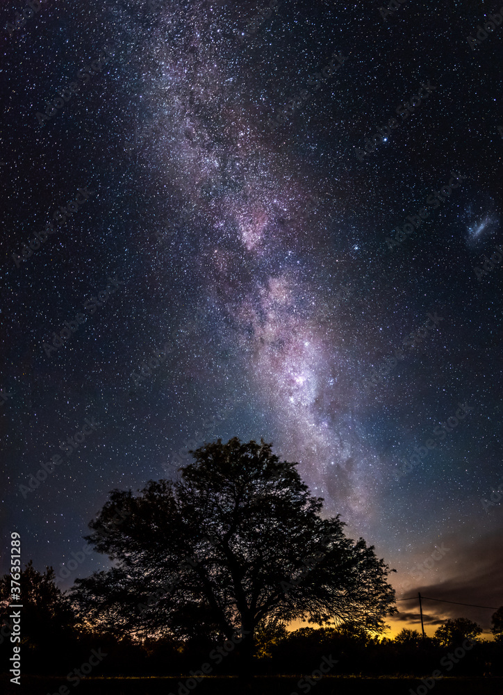 Amazing night scene of the milky way falling toward a silhouette of leafy tree with millions of stars as sand in the sky