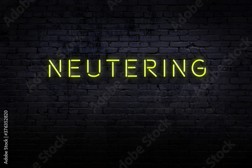 Neon sign. Word neutering against brick wall. Night view
