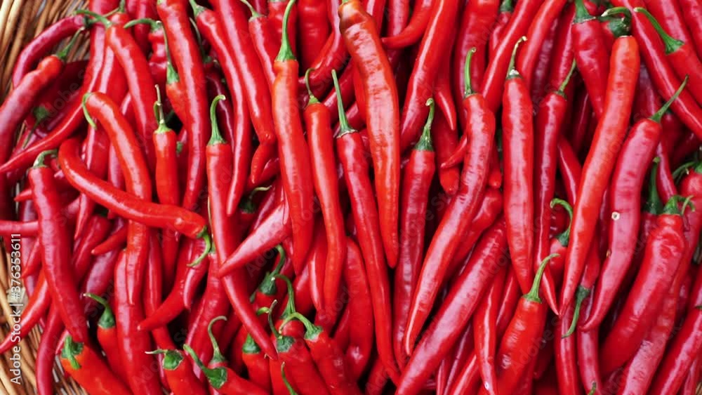 harvest of red chili peppers in a wicker basket harvest of red chili peppers in a wicker basket