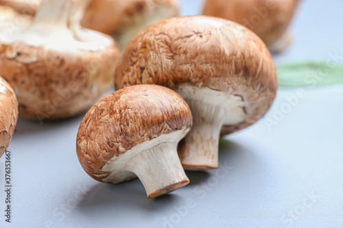 Raw mushrooms on light background, closeup