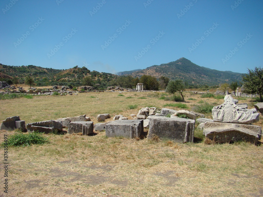 ancient greek ruins in turkey, ephesus