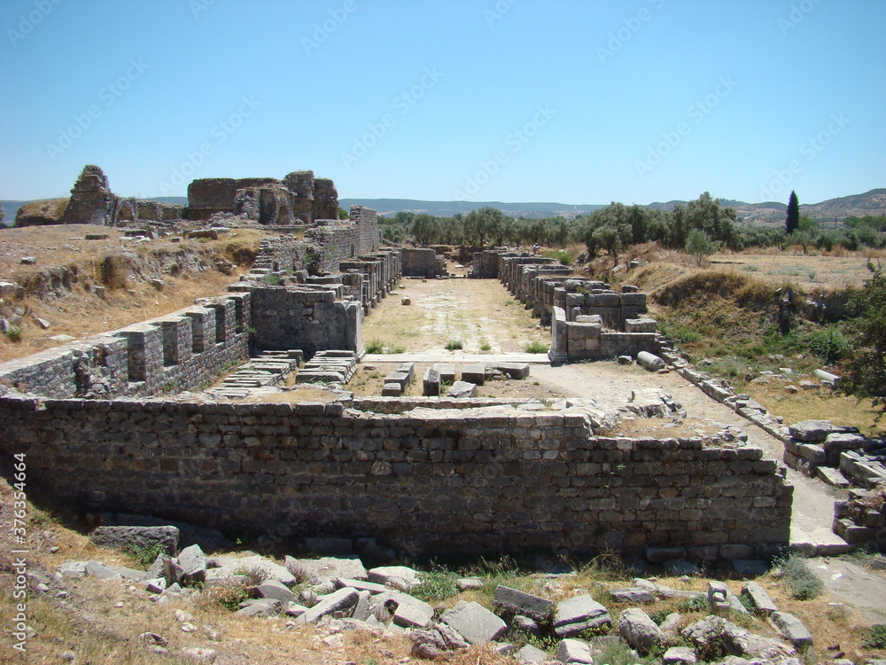ancient greek ruins in turkey, ephesus
