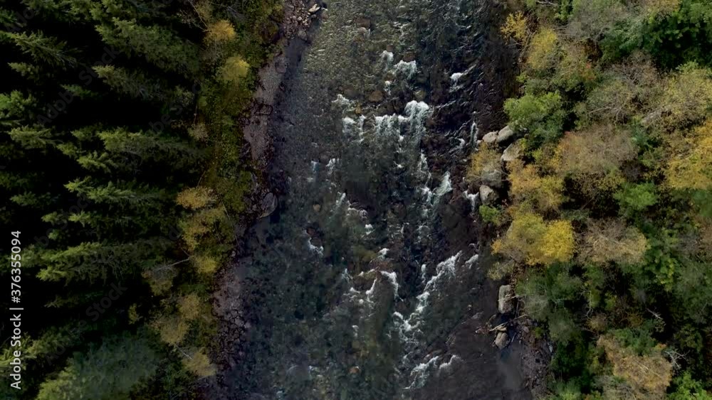 Aerial view above rapids in Norwegian highlands, surrounded by fall color forest, on a sunny autumn day, in Troms, Nordland, Norway - Top down, drone shot Aerial view above rapids in Norwegian highlands, surrounded by fall color forest, on a sunny autumn day, in Troms, Nordland, Norway - Top down, drone shot