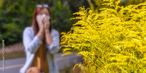 Ambrosia bush in the background woman blows her nose in napkin. Seasonal allergic reaction to plants concept photo