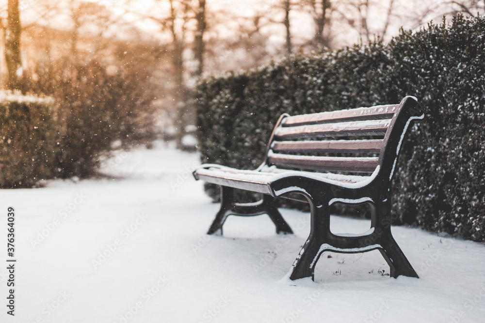 Panchina in un parco e tempo nevoso