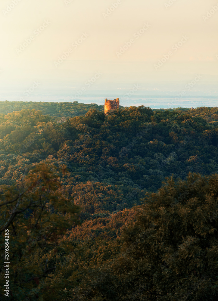 Green forest, old medieval fortress on the hill. Nature details, forest background