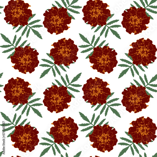 Seamless pattern with brown Tagetes patula (French marigold) flowers and green leaves on white background. Endless colorful floral texture. Vector illustration..