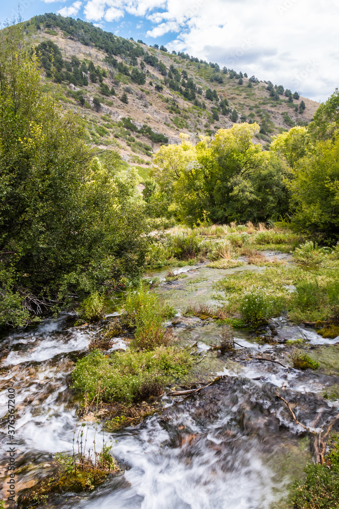 Cascade Springs in The Mount Timpanogos Region, Wasatch Mountains, Utah,USA