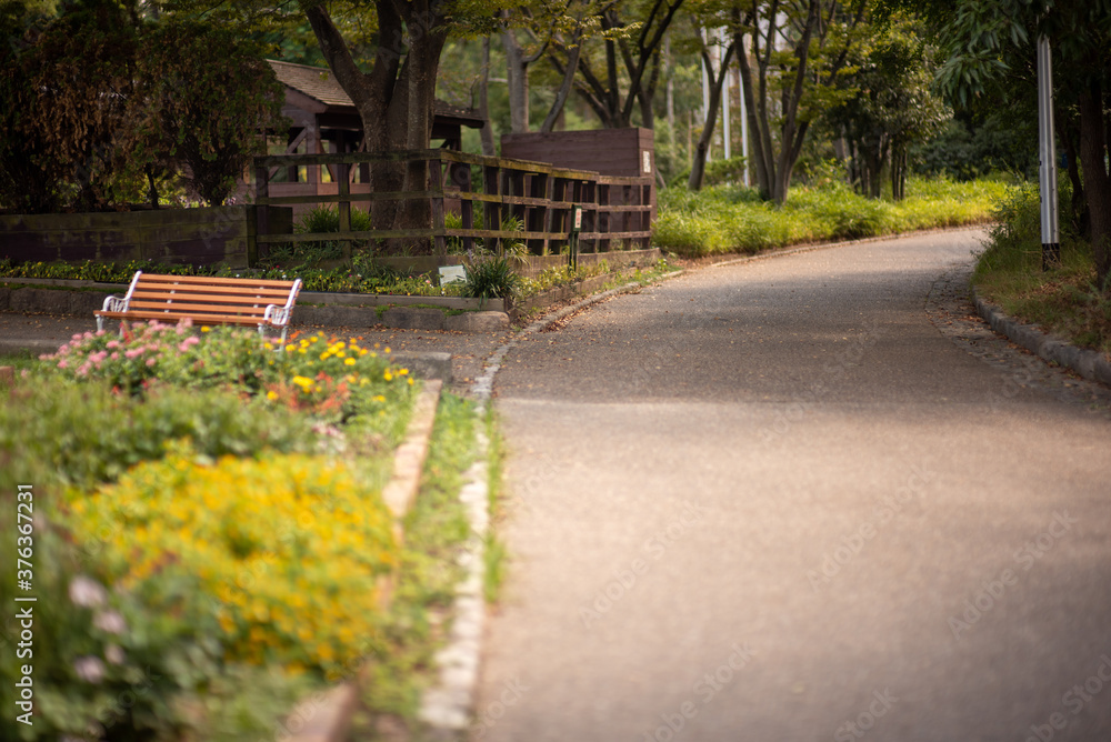 Obraz premium bench in the park