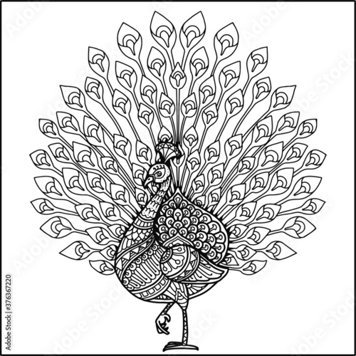 peacock mandala design for coloring page and t-shirt print
