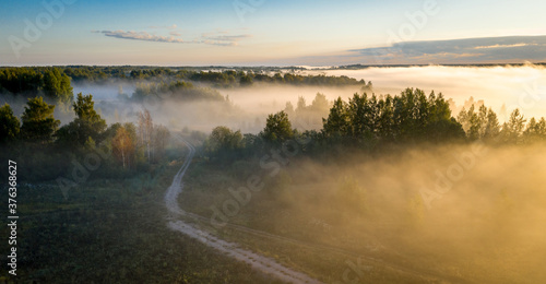 Fototapeta Naklejka Na Ścianę i Meble -  Early morning landscape. Foggy forest. Footpath trough the forest in a thick mysterious fog at sunrise. View from above