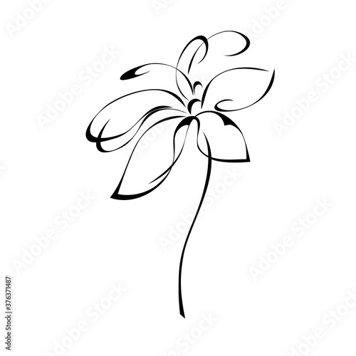 blooming flower 89. one stylized blooming flower on a short stalk without leaves in black lines on a white background