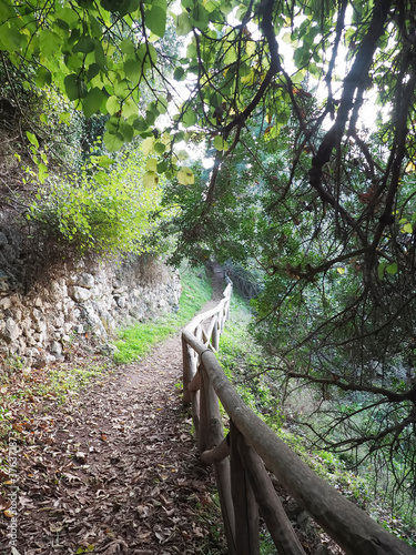 Greece Crete island Mili Gorge photo