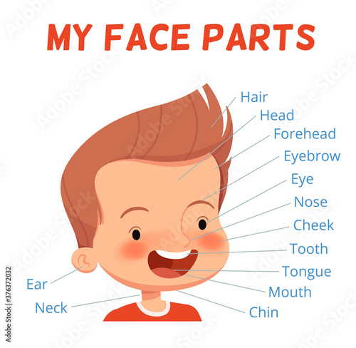 Child learning poster. Parts of the boy's face with signed names. Examining body parts