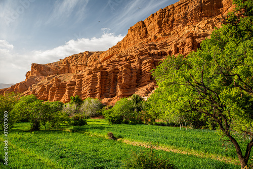 Monkey fingers in the Dades Valley, Marrakech, Morocco