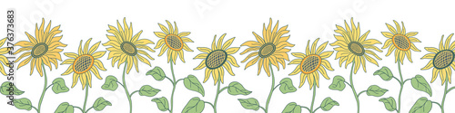 Vector seamless border with nice sunflowers on long stems. Hand drawn vector illustration in flat style with lines on white background. Green and yellow colors.