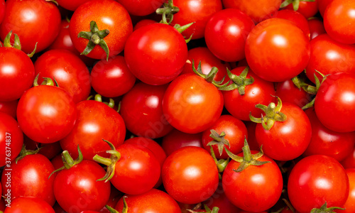Red cherry tomatoes as background.