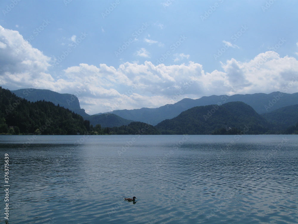 Obraz premium Lake Bled, Slovenia, Julian Alps, Island, Green mountains forest