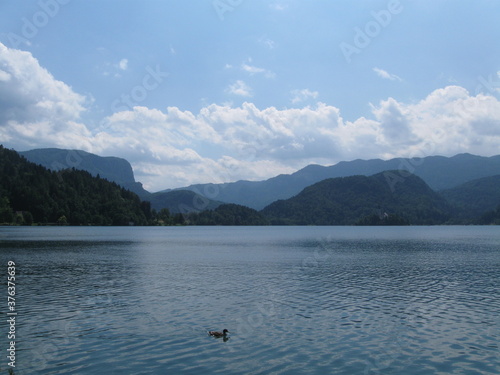 Lake Bled, Slovenia, Julian Alps, Island, Green mountains forest © Mark
