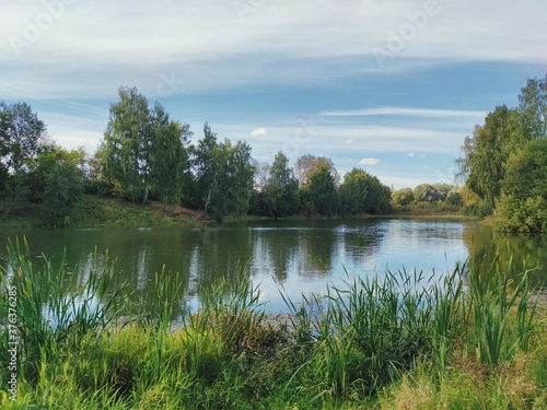 beautiful blue sky over the lake and green shores