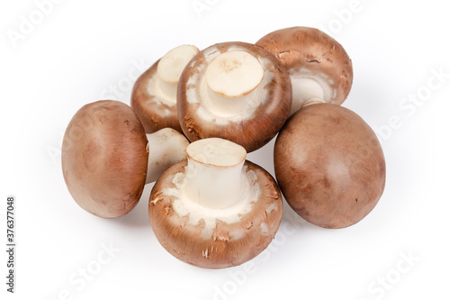 Cultivated raw royal champignon mushrooms on a white background