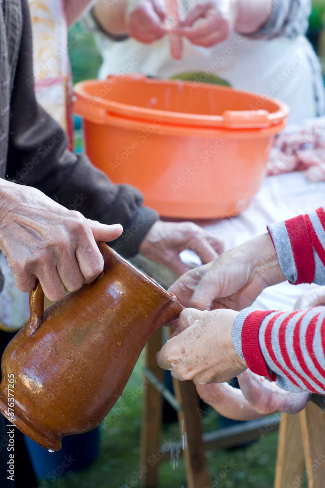 Fototapeta premium Limpieza y cosido de las tripas.Matanza del Cerdo. Algaida. Comarca de Es Pla. Mallorca.Balearic Islands. Spain.