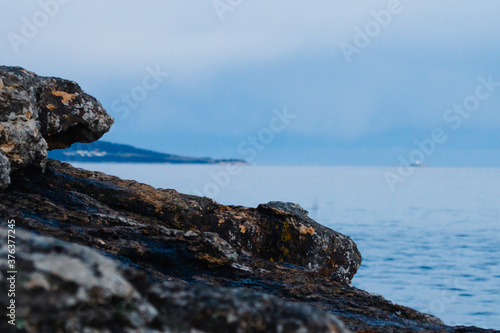 detail of the view from Blackmans Bay beach natural landscape in Tasmania, Australia photo