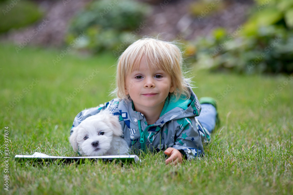 Little toddler child, blond boy, playing with little maltese puppy dog in garden Little toddler child, blond boy, playing with little maltese puppy dog in garden