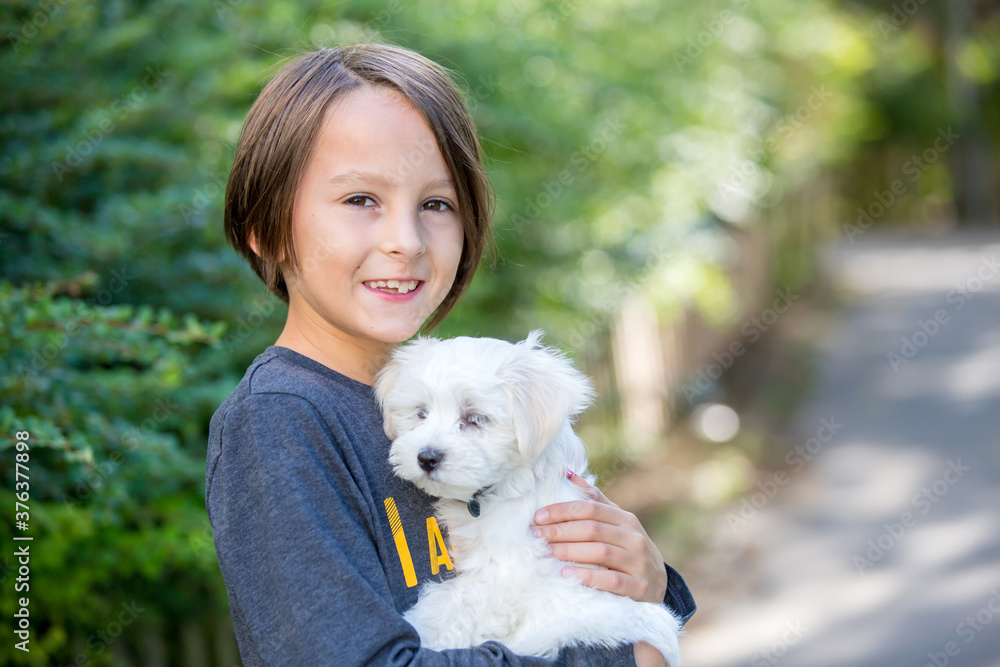 Child, cute boy, playing with dog pet in the park, maltese dog and kid enjoying friendship Child, cute boy, playing with dog pet in the park, maltese dog and kid enjoying friendship