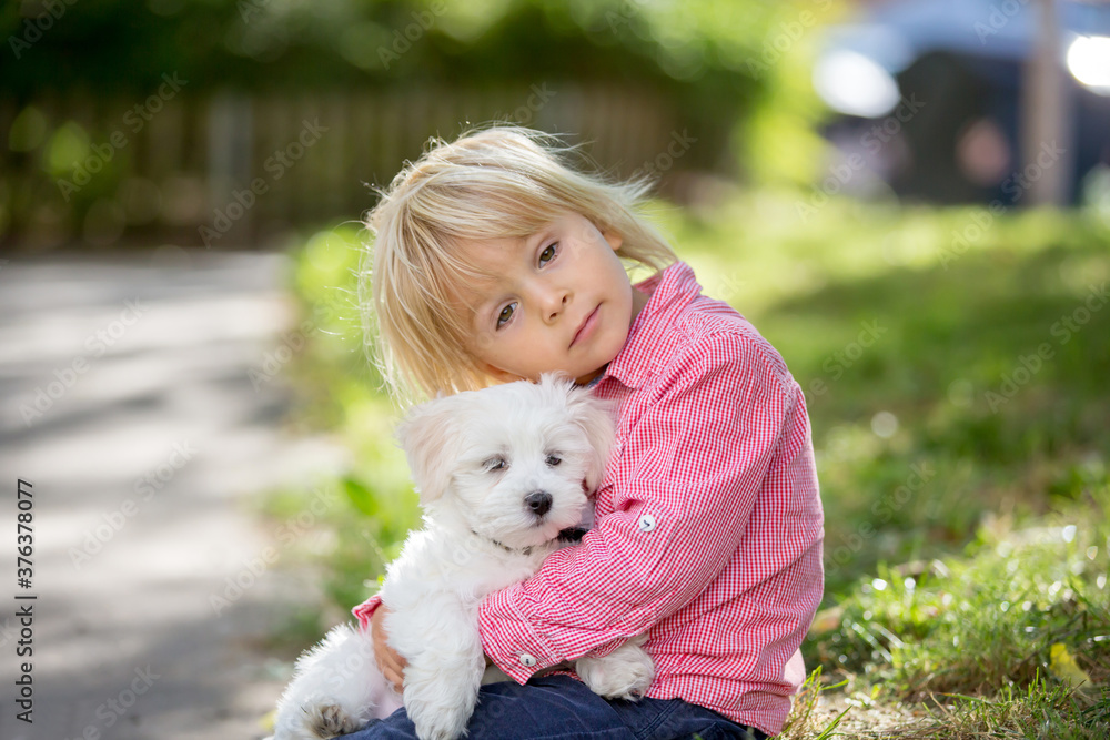 Child, cute boy, playing with dog pet in the park, maltese dog and kid enjoying friendship Child, cute boy, playing with dog pet in the park, maltese dog and kid enjoying friendship