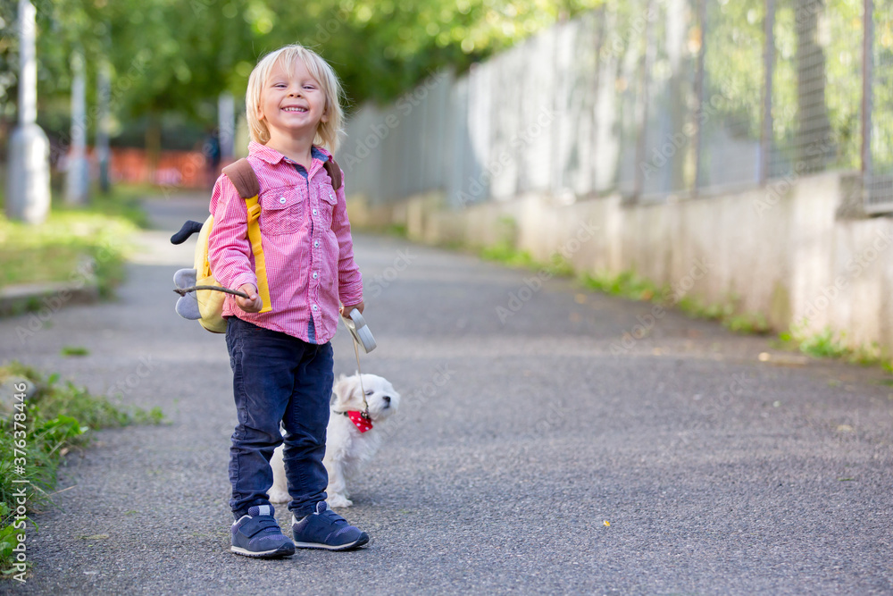 Child, cute boy, playing with dog pet in the park, maltese dog and kid enjoying friendship Child, cute boy, playing with dog pet in the park, maltese dog and kid enjoying friendship