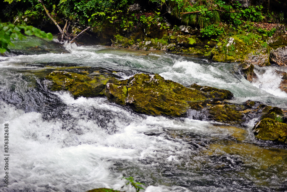 Fototapeta premium small waterfall in the forest