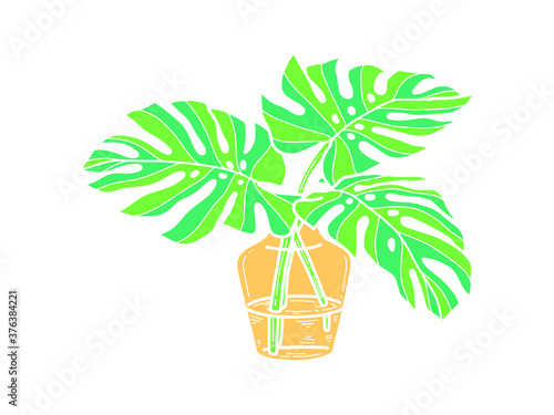 Hand drawn monstera. Indoor plant in a Jar. Scandinavian style illustration with monstera, modern and elegant home decor. Vector poster design. photo