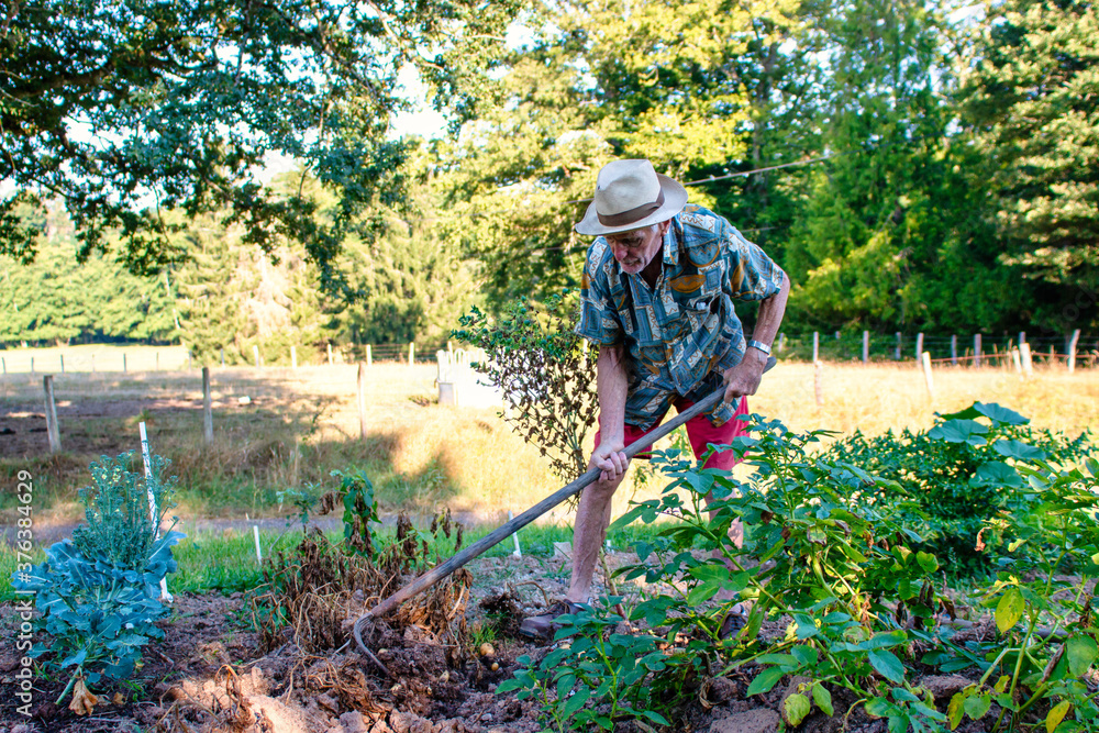 Un senior retraité travail dans son jardin Un senior retraité travail dans son jardin